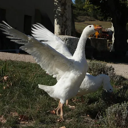 Bed & Breakfast La Fontaine Simiane-la-Rotonde