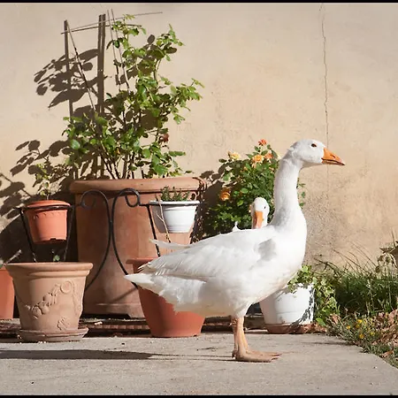 Bed & Breakfast La Fontaine Simiane-la-Rotonde