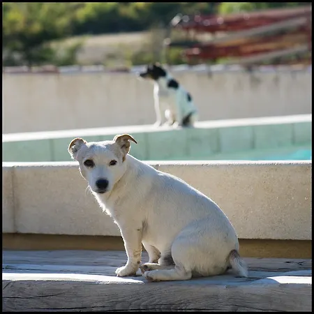 Bed & Breakfast La Fontaine 3*