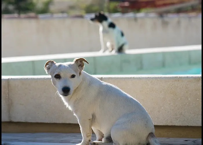 Frühstückspension La Fontaine 3*