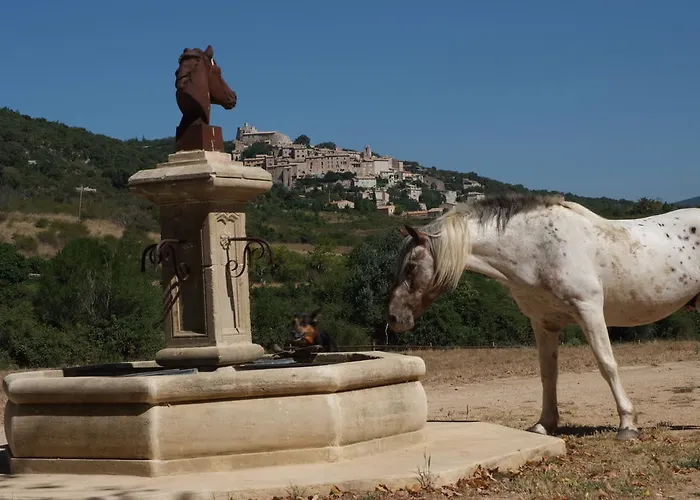 La Fontaine Simiane-la-Rotonde