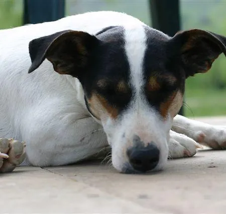 Bed and Breakfast La Fontaine