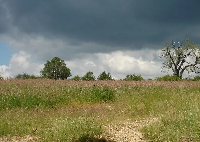 La Fontaine Simiane-la-Rotonde