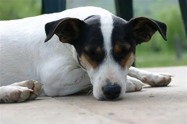 Couette-café La Fontaine